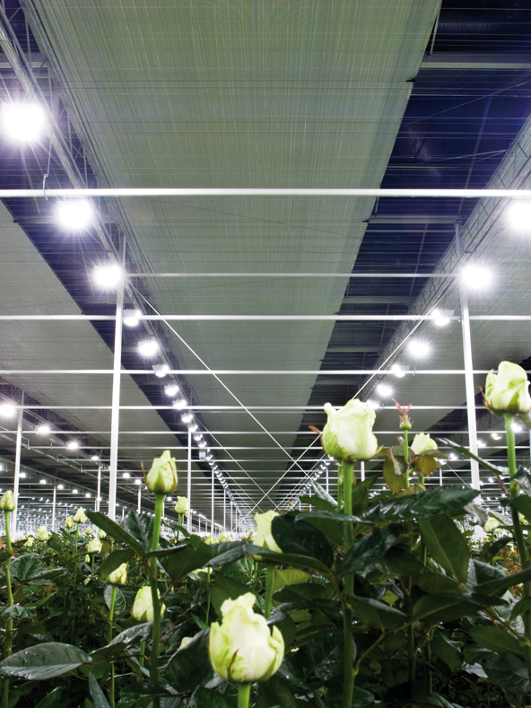 Screening Systems greenhouses