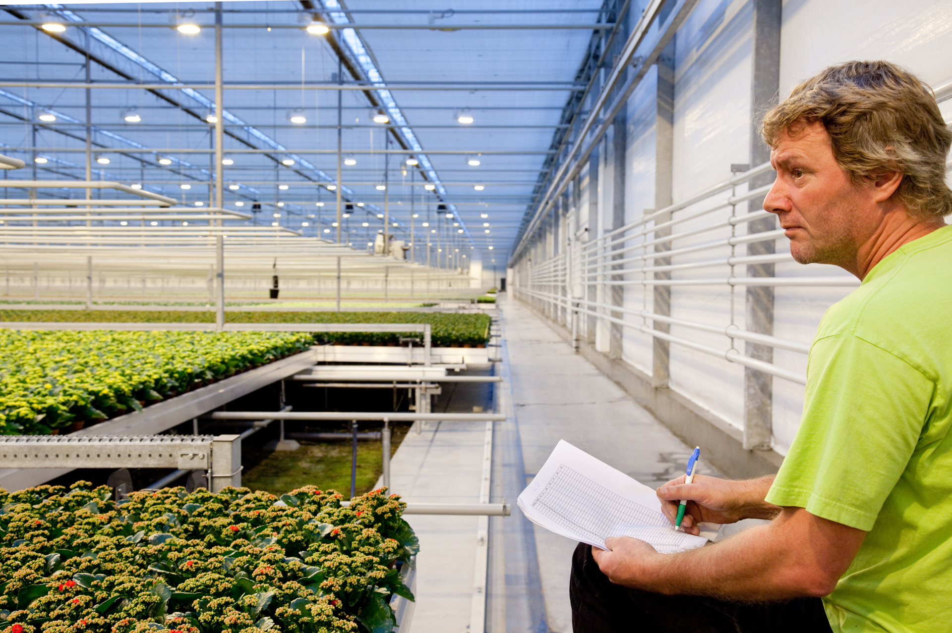 greenhouse checking the flowers