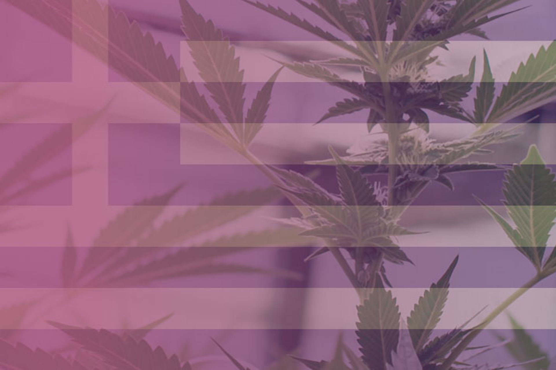 Cannabis Legalization in Greece: Regulatory Framework and Industry Developments