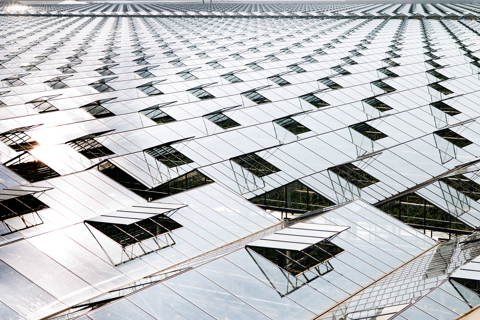 Greenhouse with Glass Roof: Maximizing Light and Insulation