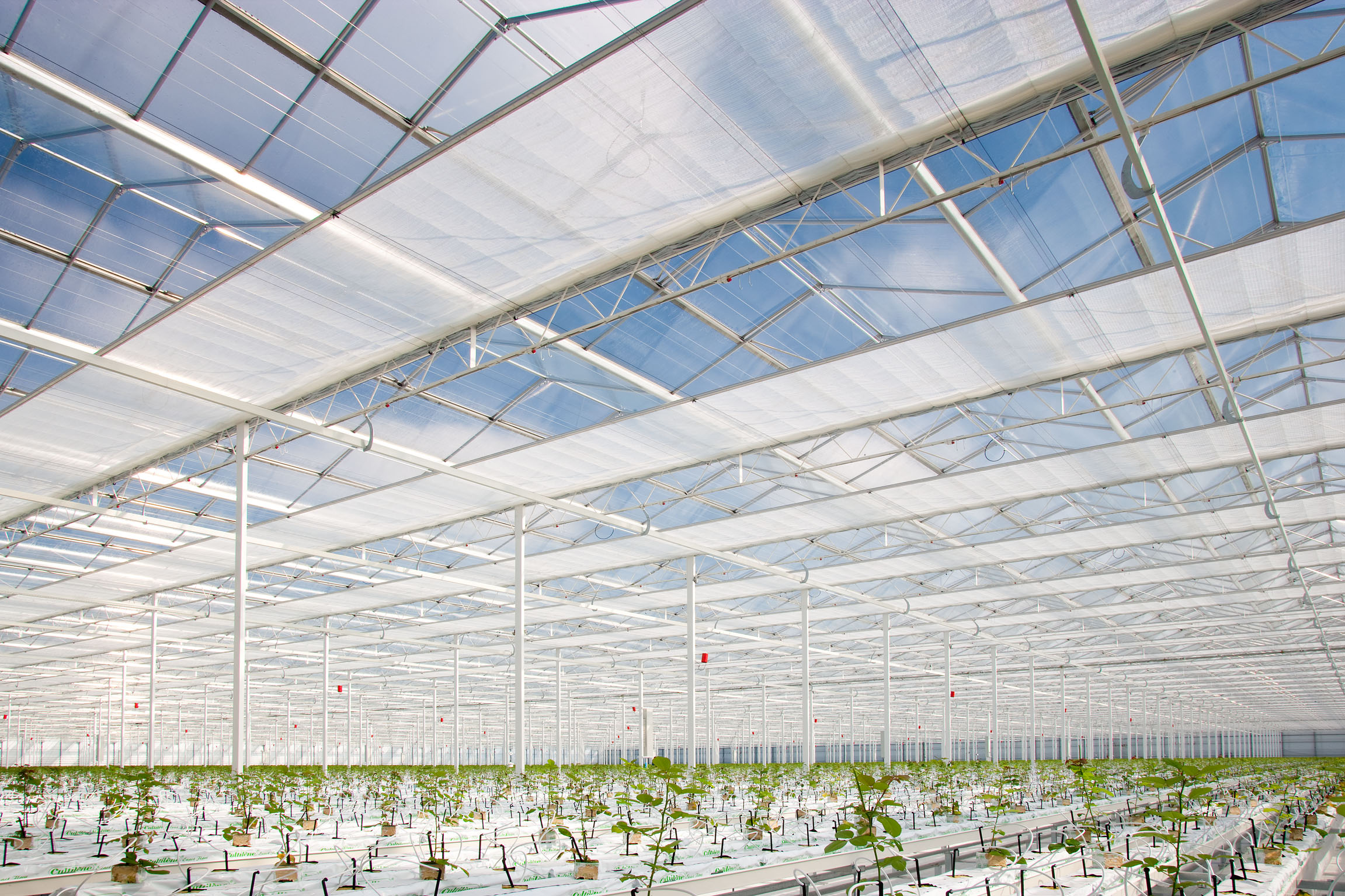 Energy Screens - DutchGreenhouses