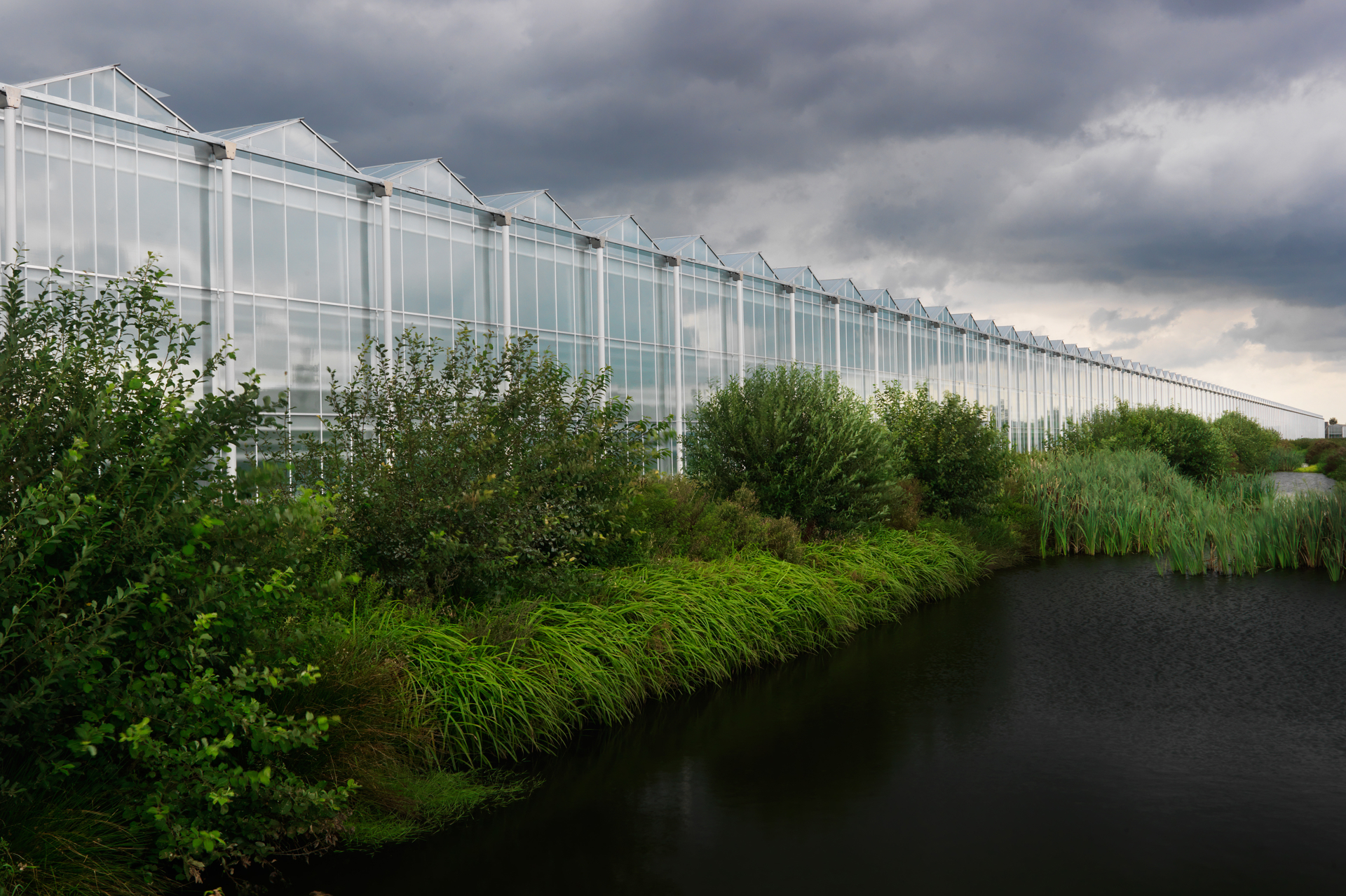 Dutchgreenhouse outisde