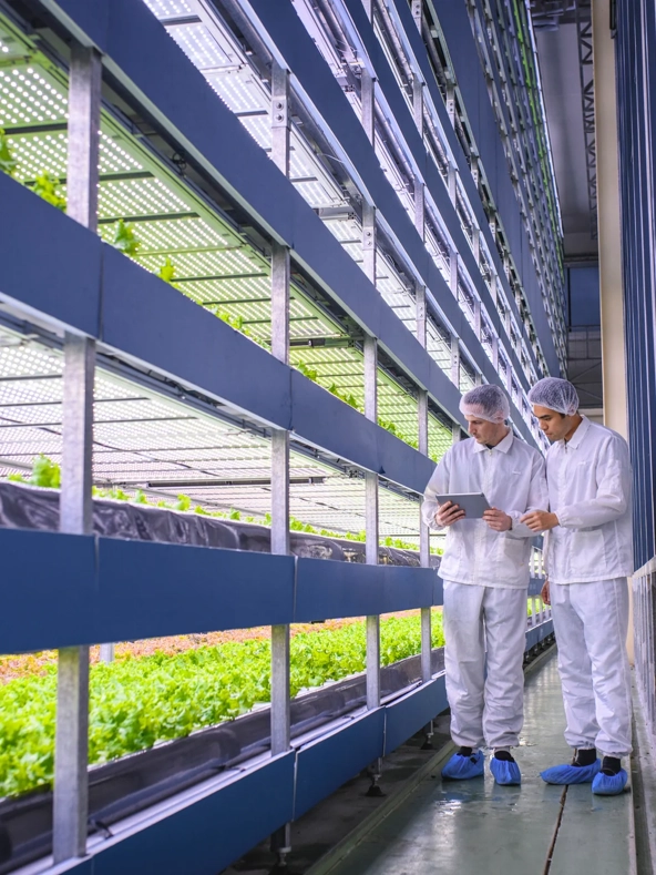 Indoor Farming Growers Greenhouse