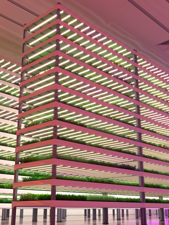 Indoor Farming Solutions