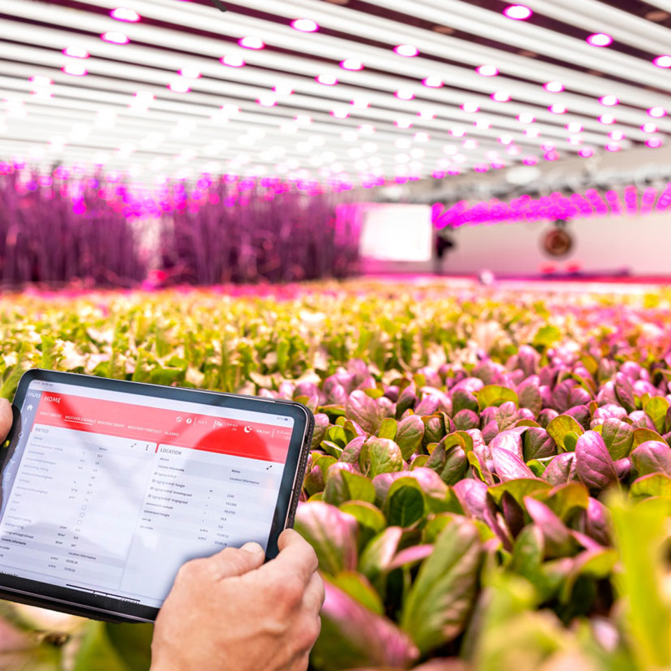 Indoor Farming Control greenhouse