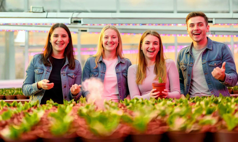 Students working in a greenhouse