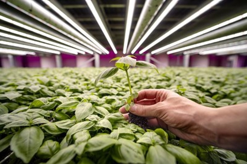 Vertical Indoor Farming