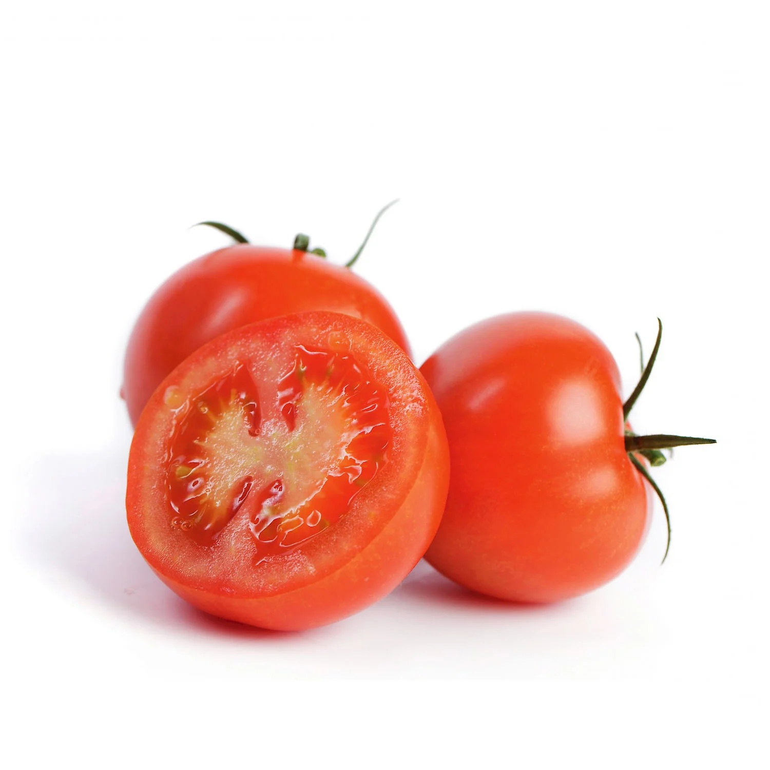 Tomates en culture sous verre