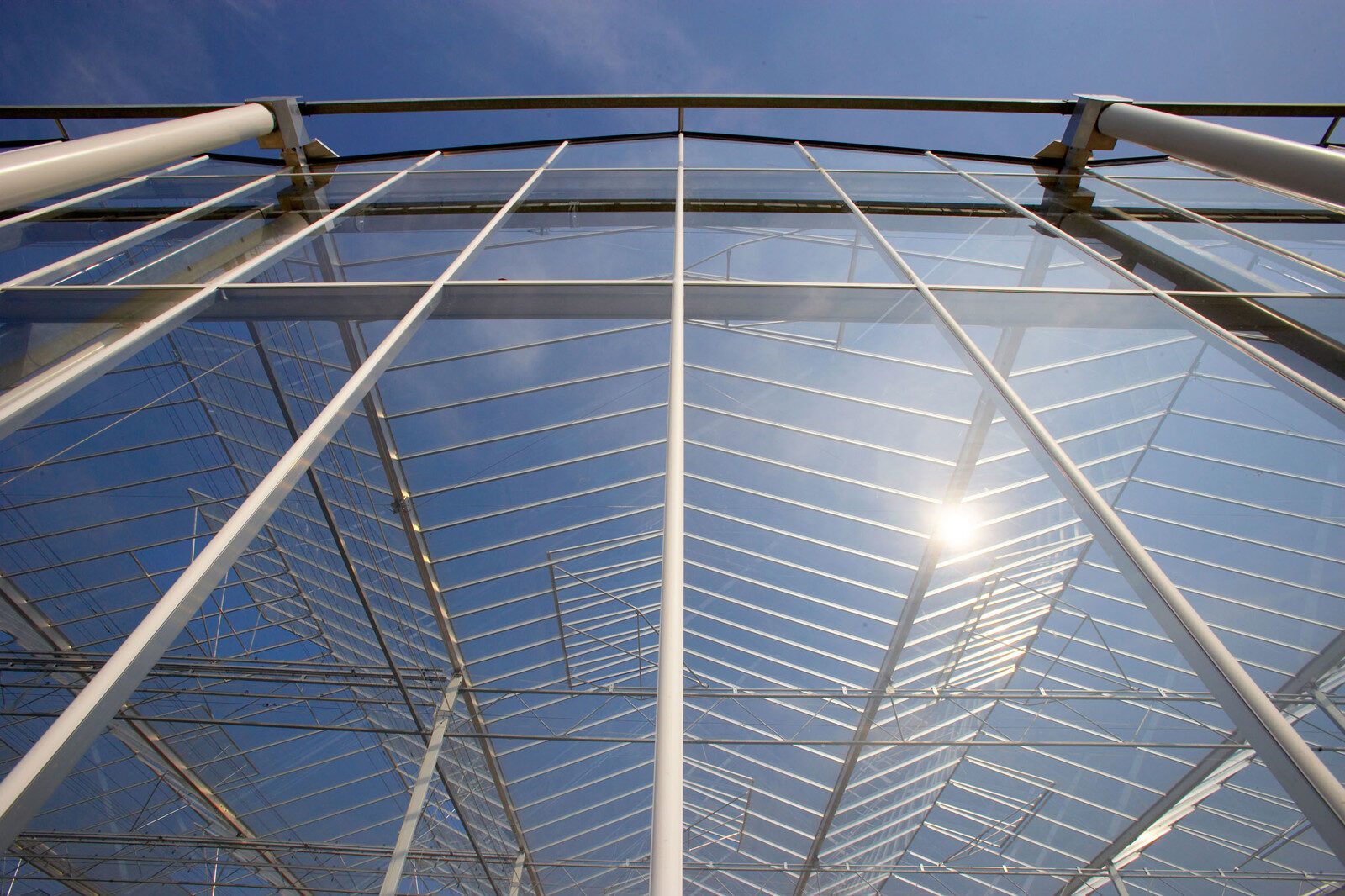 Dach und Wände eines glasgedeckten Produktionsgewächshauses, die Tageslicht durchlassen