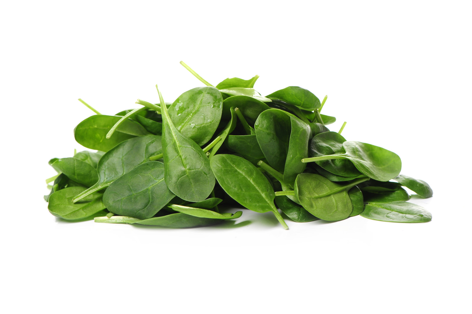 Fresh baby spinach leaves harvested from an indoor farm