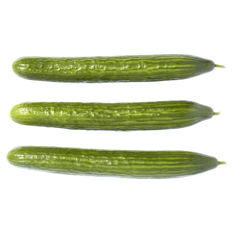 Pepinos largos en invernadero