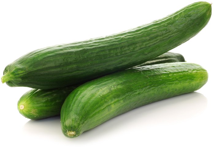 Cultivo de Pepinos bajo vidrio