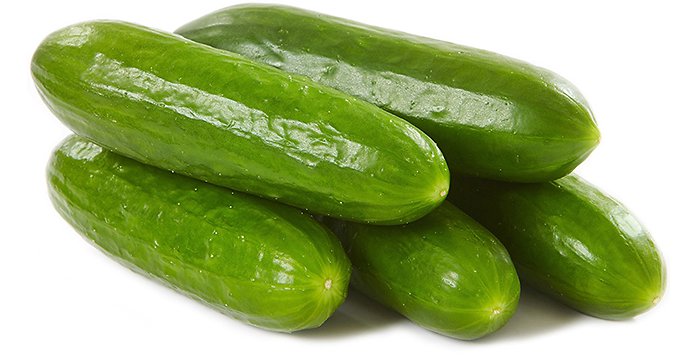 Cultivo de Pepinos bajo vidrio