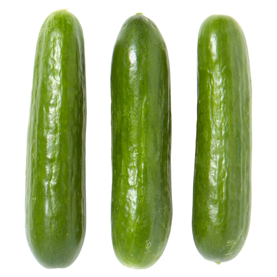 Cultivo de Pepinos bajo vidrio