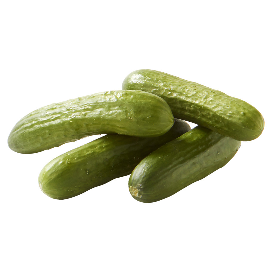 Cultivo de Pepinos bajo vidrio