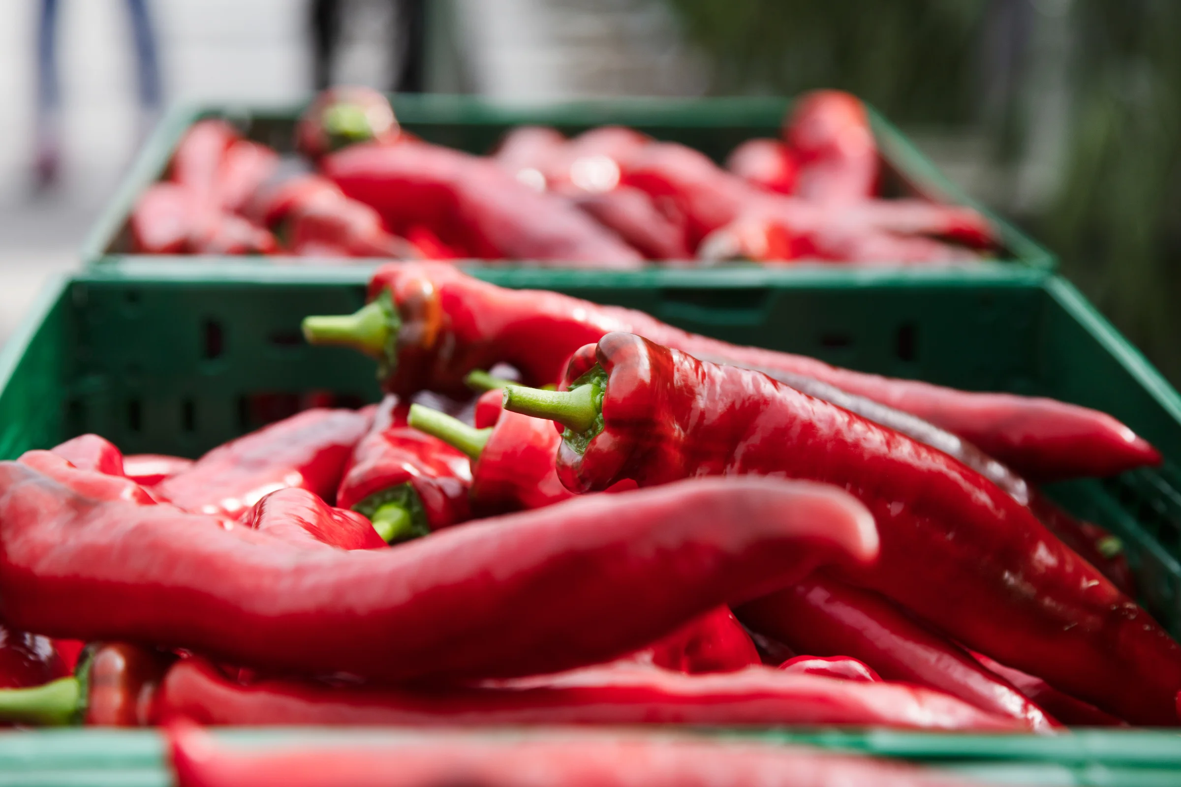 Sweet peppers