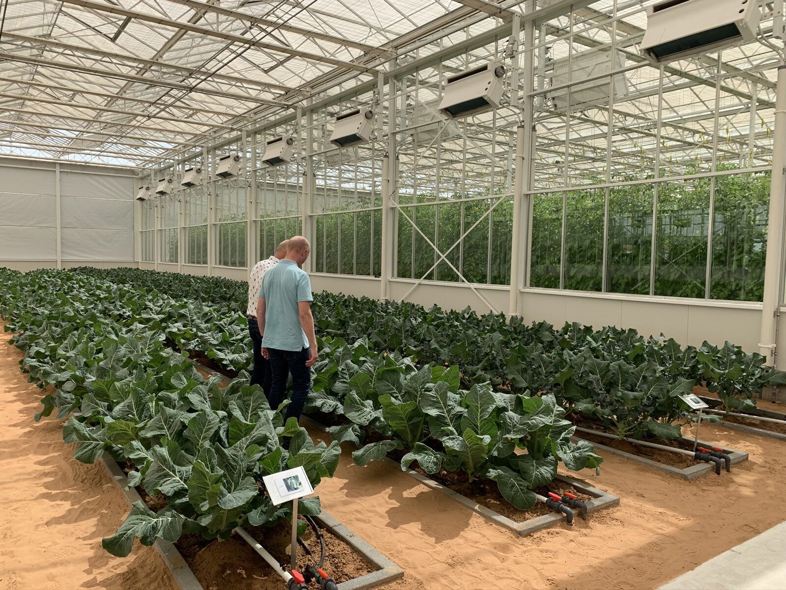 Installation de serre professionnelle soutenue par des services aux producteurs experts